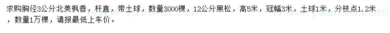 求購(gòu)胸徑3公分北美楓香、12公分黑松