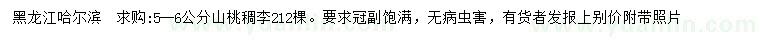 求購5-6公分山桃稠李