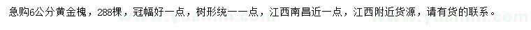 求購6公分黃金槐