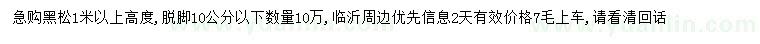 求購高1米以上黑松