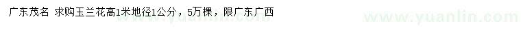 求購(gòu)地徑1公分玉蘭花