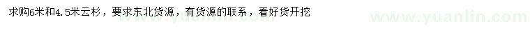 求購4.5、6米云杉