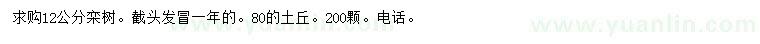 求購12公分欒樹