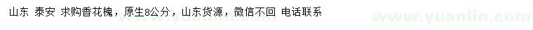 求購8公分香花槐
