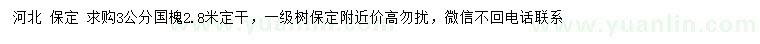求購3公分國槐