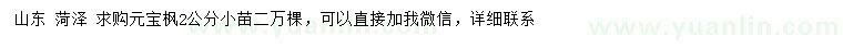 求購2公分元寶楓小苗