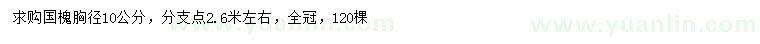 求購胸徑10公分國槐