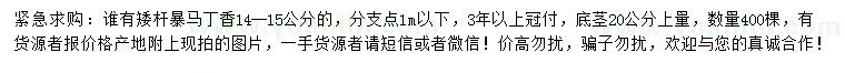 求購14-15公分矮桿暴馬丁香