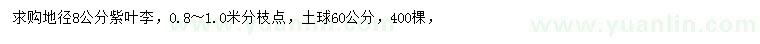 求購地徑8公分紫葉李