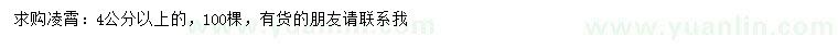 求購(gòu)4公分以上凌霄