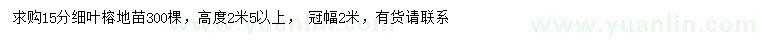 求購15公分細(xì)葉榕