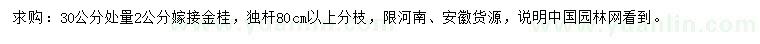 求購30公分處量2公分嫁接金桂