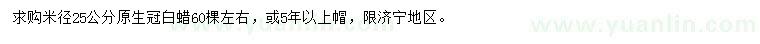 求購米徑25公分白蠟