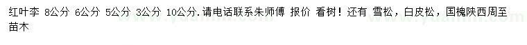 求購(gòu)3、5、6、8、10公分紅葉李