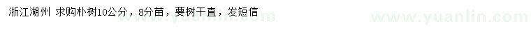 求購10公分樸樹