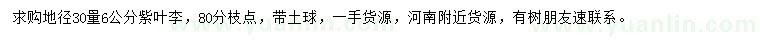 求購地徑30量6公分紫葉李