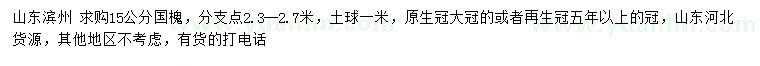 求購15公分國槐