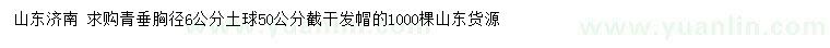 求購胸徑6公分青垂