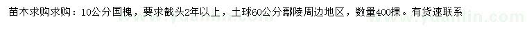 求購10公分國槐