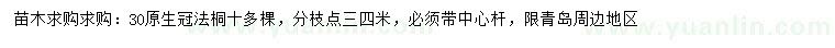 求購30公分法桐