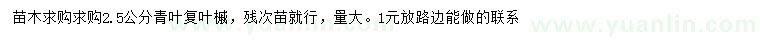 求購2.5公分青葉復(fù)葉槭