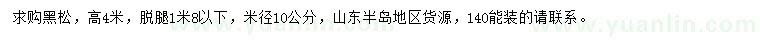 求購米徑10公分黑松