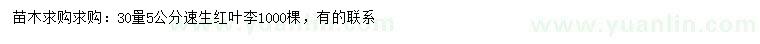 求購30量5公分速生紅葉李