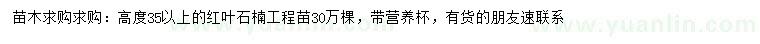 求購高35公分以上紅葉石楠