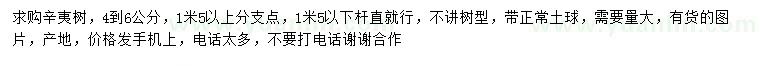 求購4-6公分辛夷樹