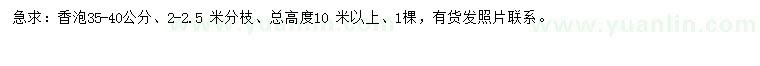 求購35-40公分香泡
