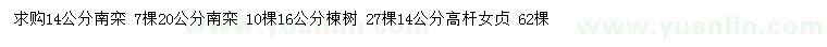 求購(gòu)南欒、楝樹(shù)、高桿女貞
