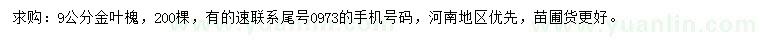 求購9公分金葉槐