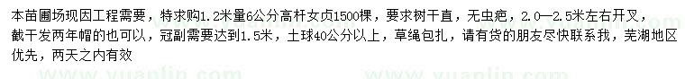 求購1.2米量6公分高桿女貞