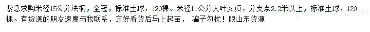 求購15公分法桐、11公分大葉女貞