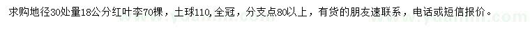 求購地徑30處量18公分紅葉李