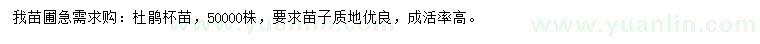 求購杜鵑杯苗
