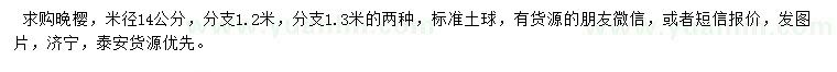 求購(gòu)米徑14公分晚櫻