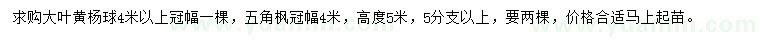 求購冠幅4米以上大葉黃楊球、五角楓