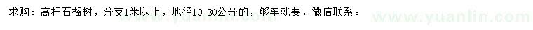 求購地徑10-30公分石榴樹