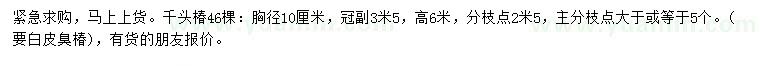 求購胸徑10公分千頭椿