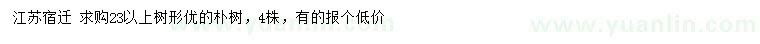 求購23公分以上樸樹