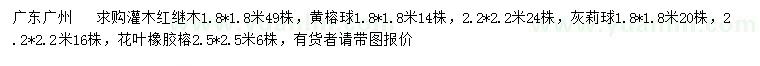 求購(gòu)紅繼木、黃榕球、灰莉球等