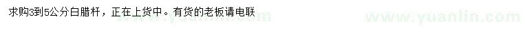 求購(gòu)3-5公分白臘桿，正在上貨中