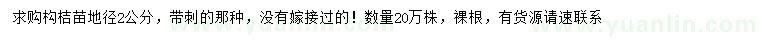 求購地徑2公分構(gòu)桔苗