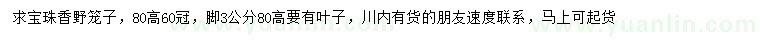 求購高80公分寶珠香