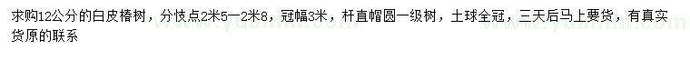 求購(gòu)12公分白皮椿