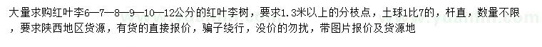 求購(gòu)6、7、8、9、10、12公分紅葉李