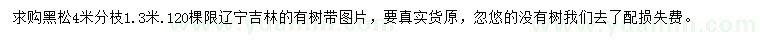 求購4米黑松