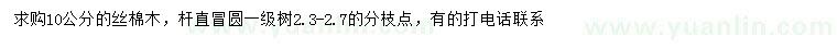 求購10公分絲棉木