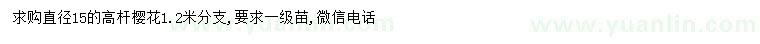 求購15公分高桿櫻花